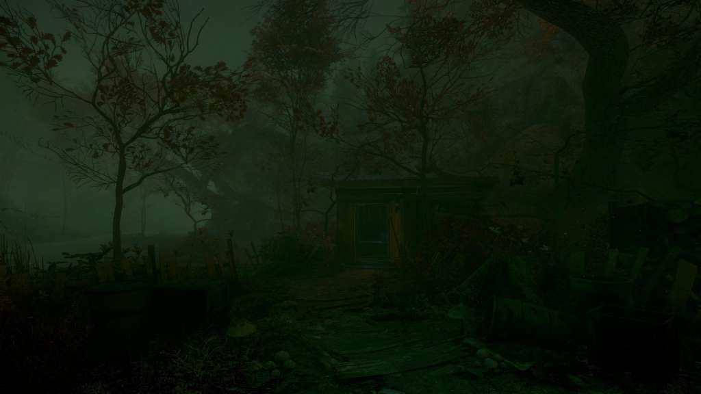 The Cursed Forest PC Steam Account