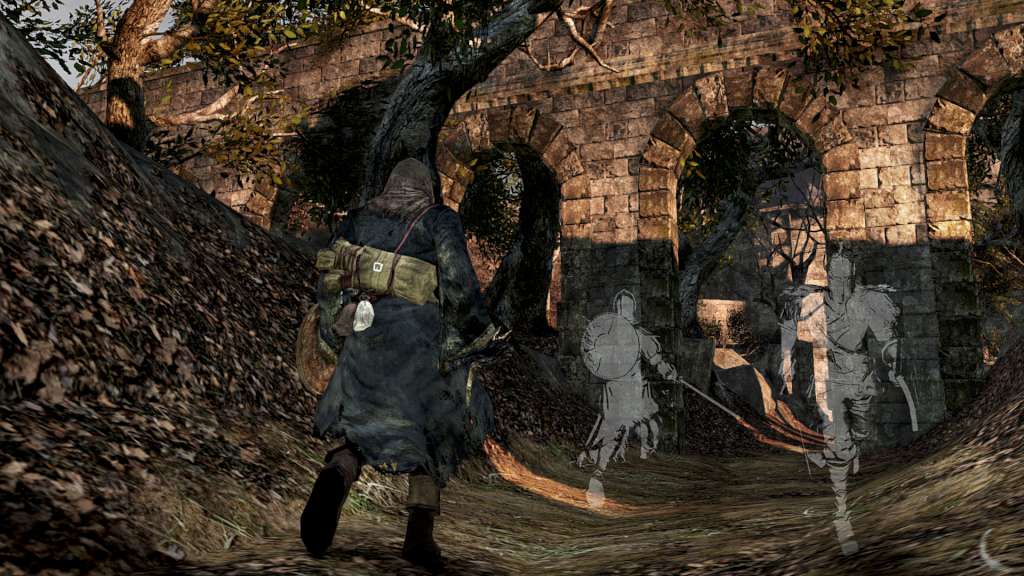 Dark Souls II RU/CIS PC Steam CD Key