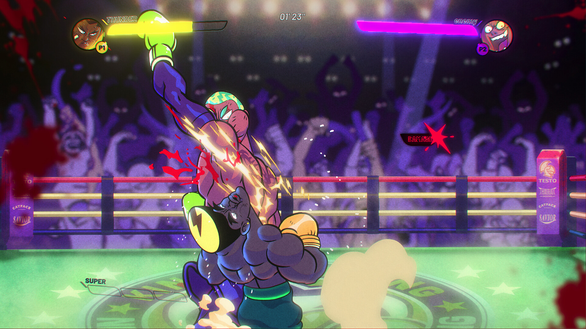 Thunder Ray PC Steam Account