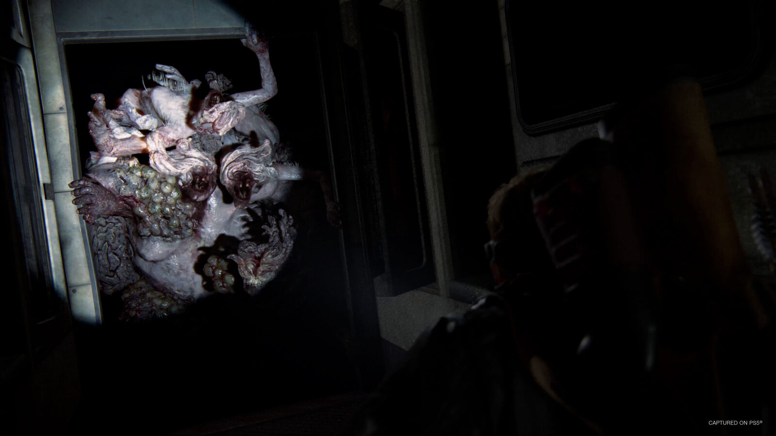 The Last of Us Part 2 Remastered PC Epic Games Account