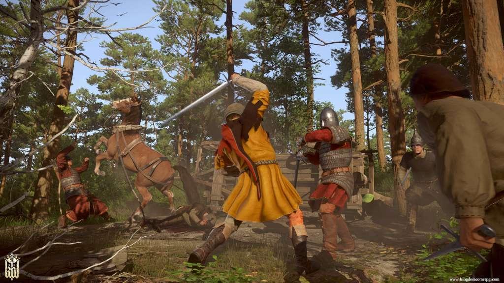 Kingdom Come: Deliverance - DLC Collection PC Steam CD Key