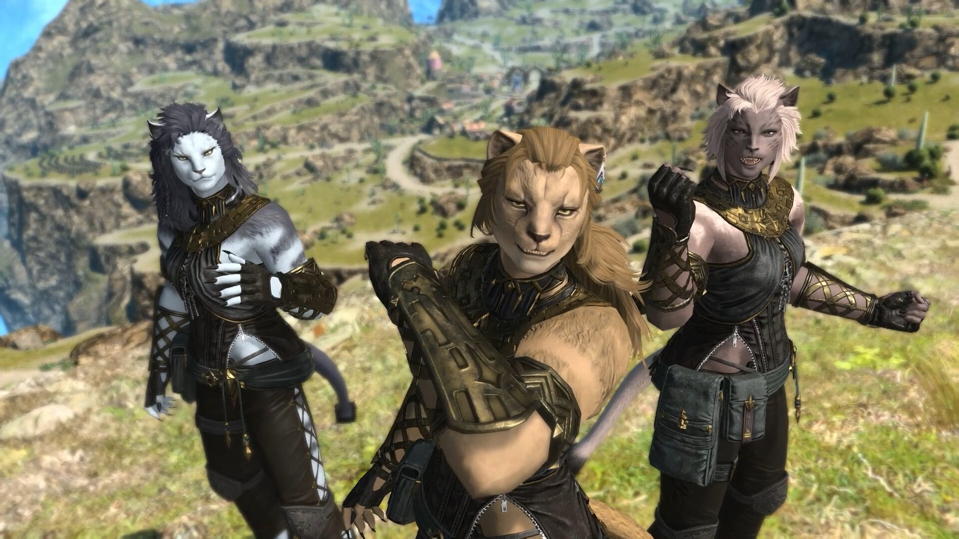 Final Fantasy XIV: Dawntrail - Collector's Edition DLC PC Mog Station CD Key