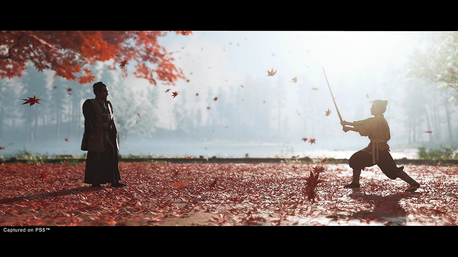 Ghost of Tsushima Director's Cut PS4/PS5 Account
