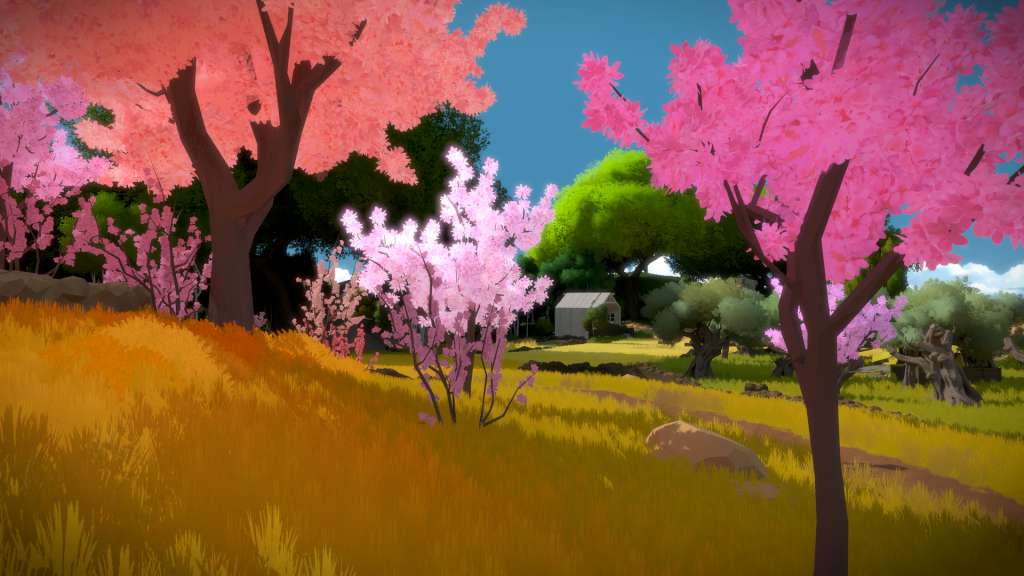 The Witness XBOX One / Xbox Series X|S Account