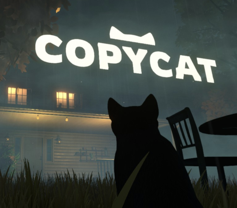Copycat PC Steam Account
