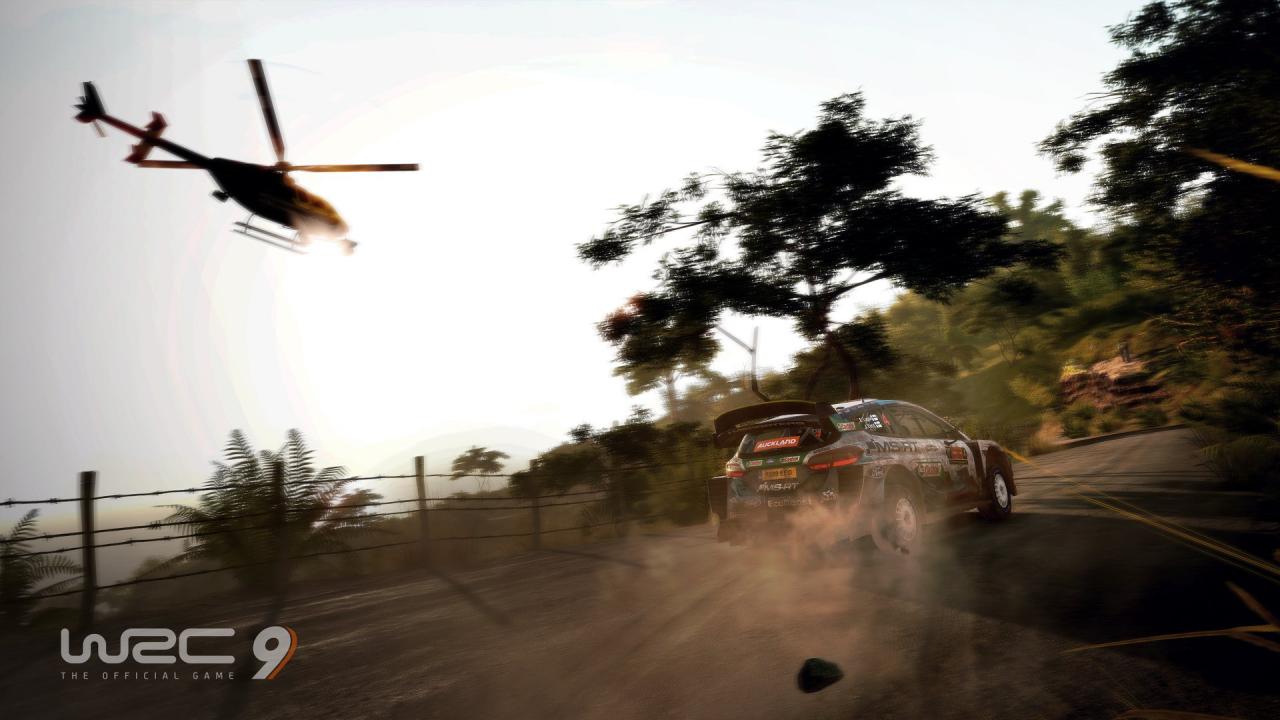 WRC 9 FIA World Rally Championship PC Steam CD Key