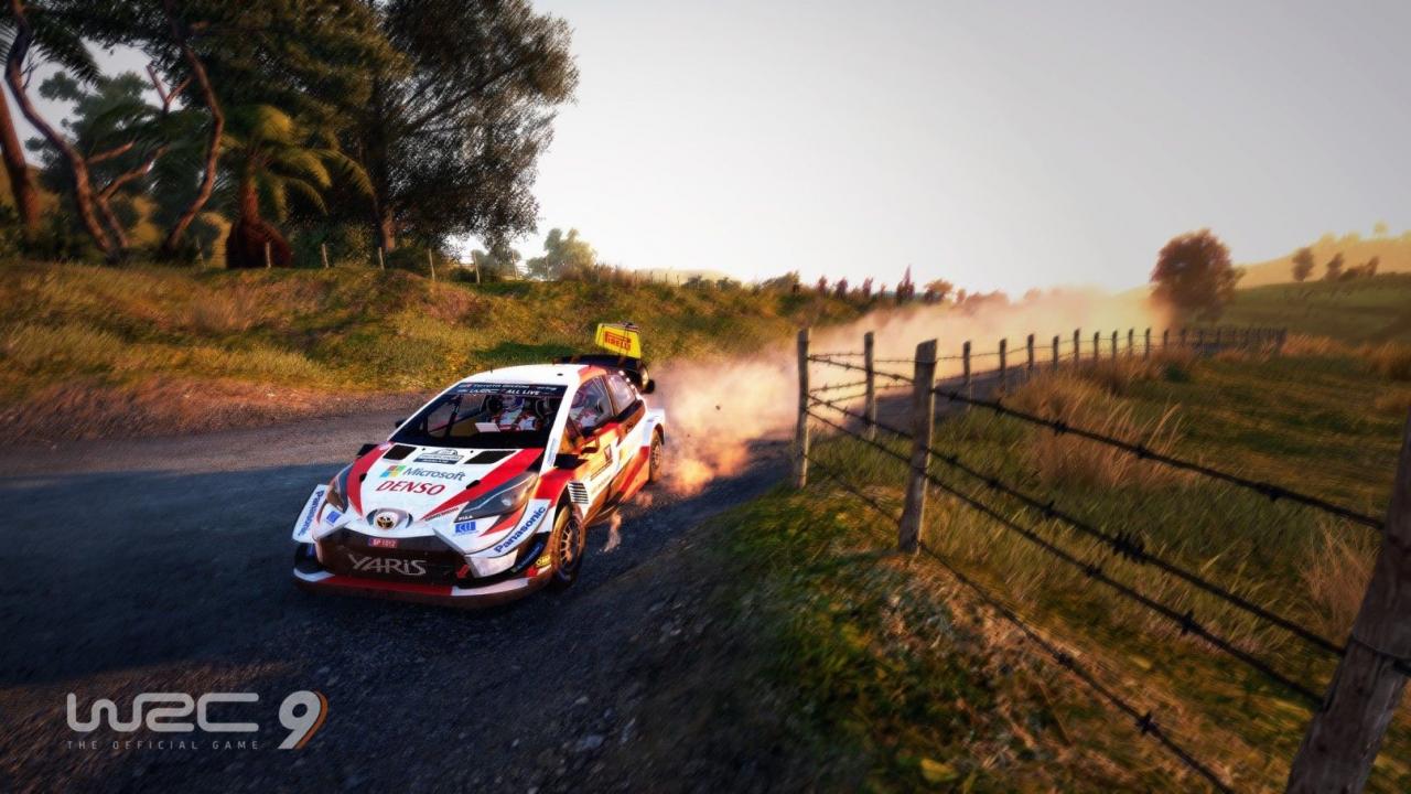 WRC 9 FIA World Rally Championship PC Steam CD Key