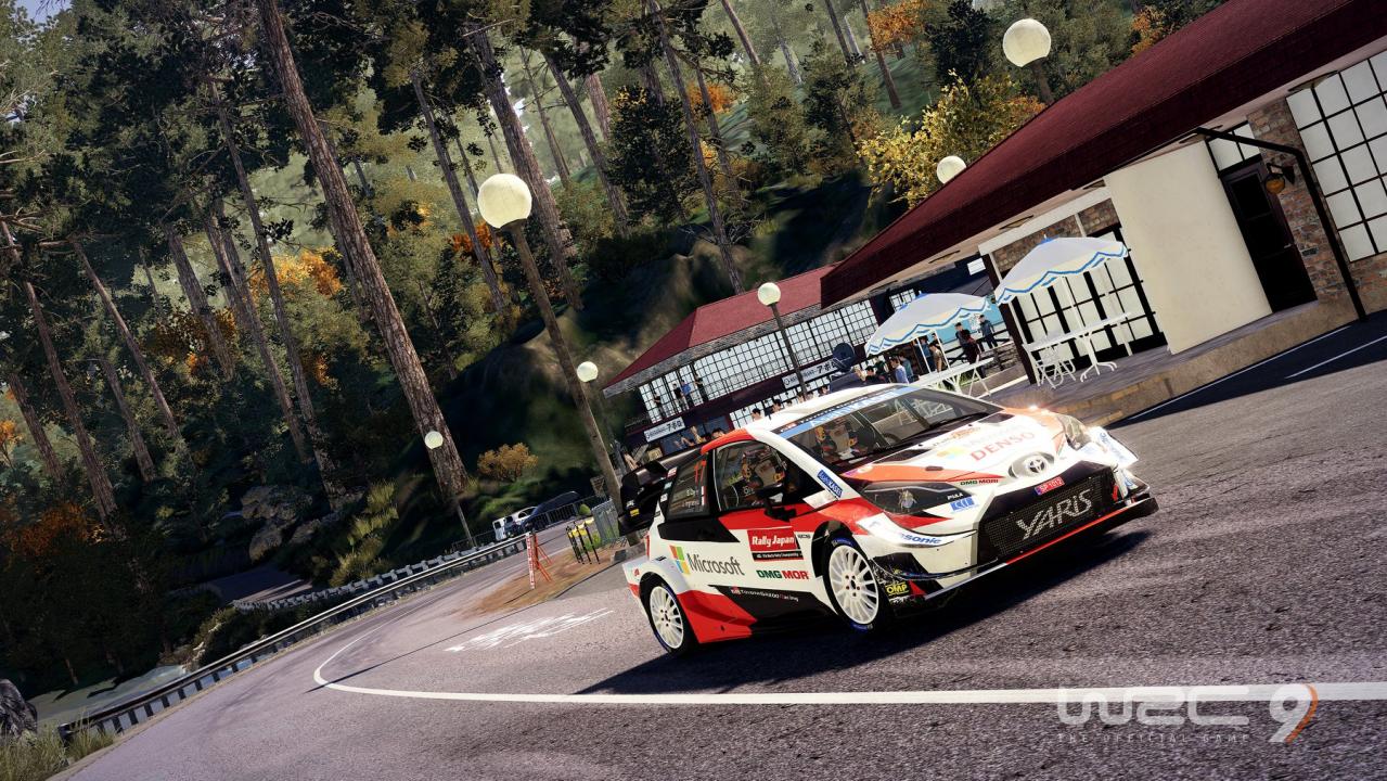 WRC 9 FIA World Rally Championship PC Steam CD Key
