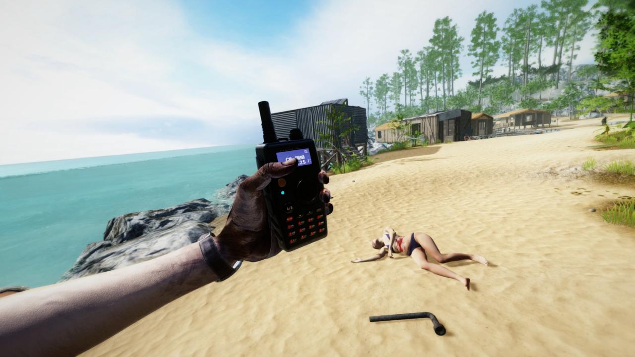 Another Dawn XBOX One / Xbox Series X|S / PC Account
