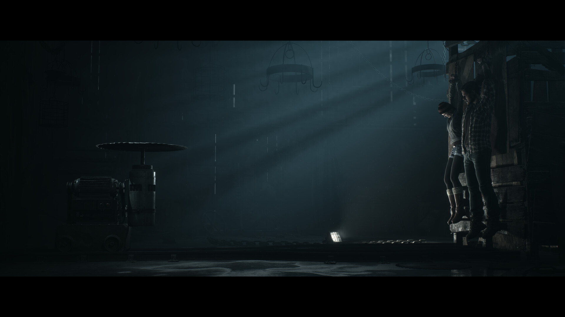 Until Dawn PC Steam Altergift