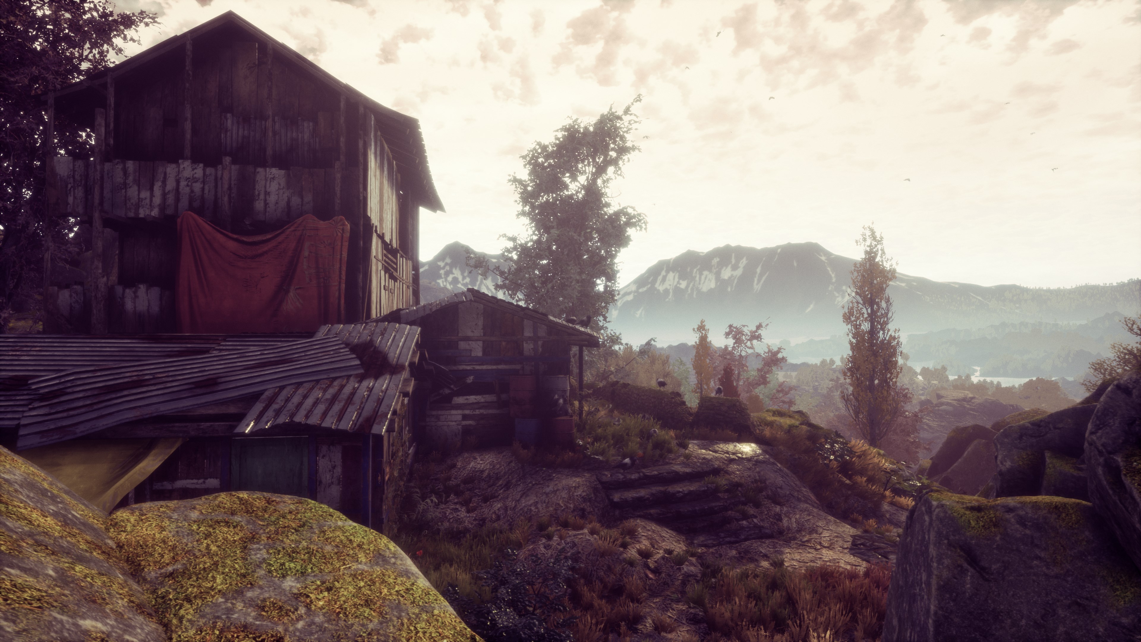The Dead Tree of Ranchiuna XBOX One / Xbox Series X|S Account