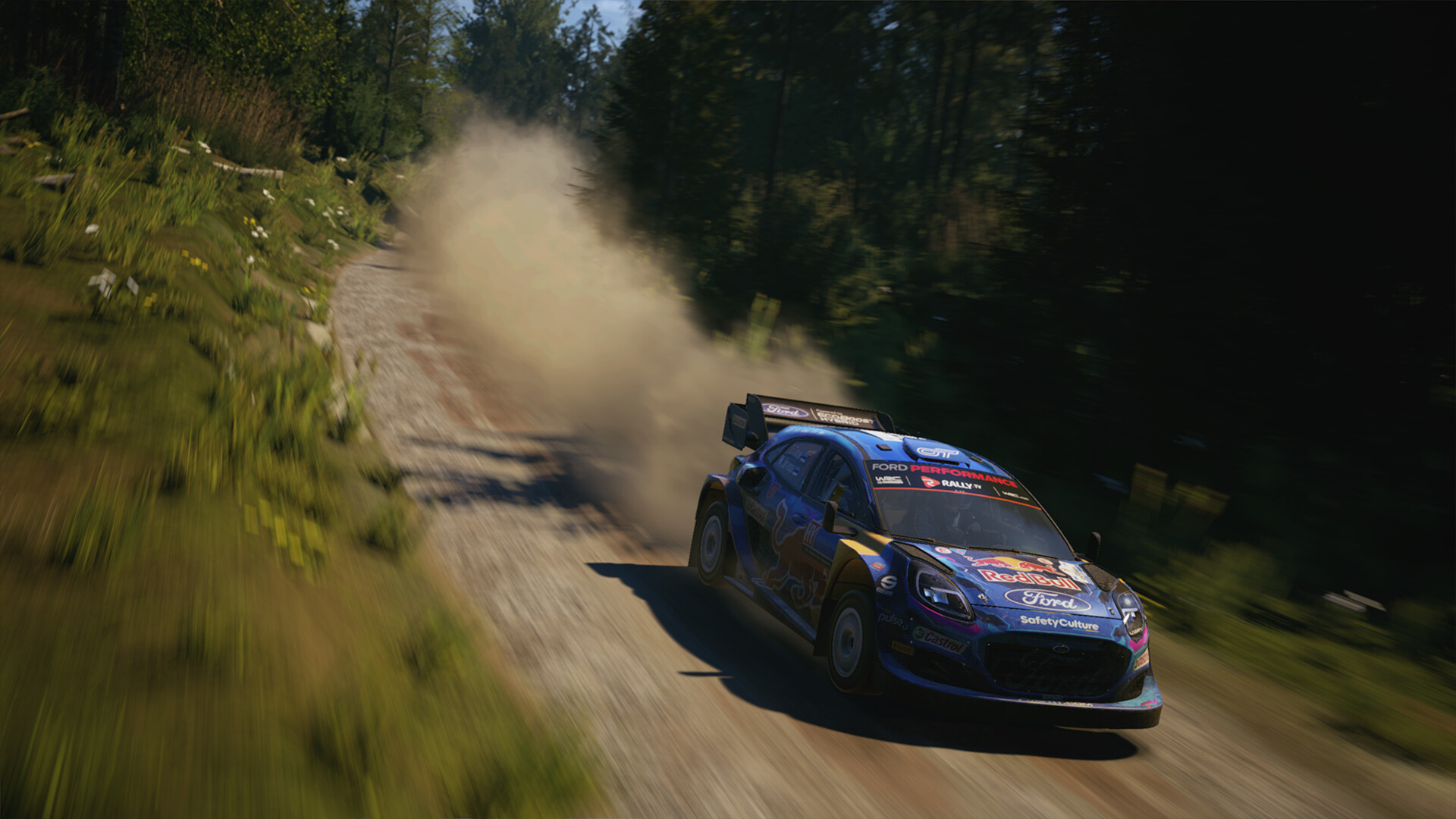 EA Sports WRC 24 PC Steam Account