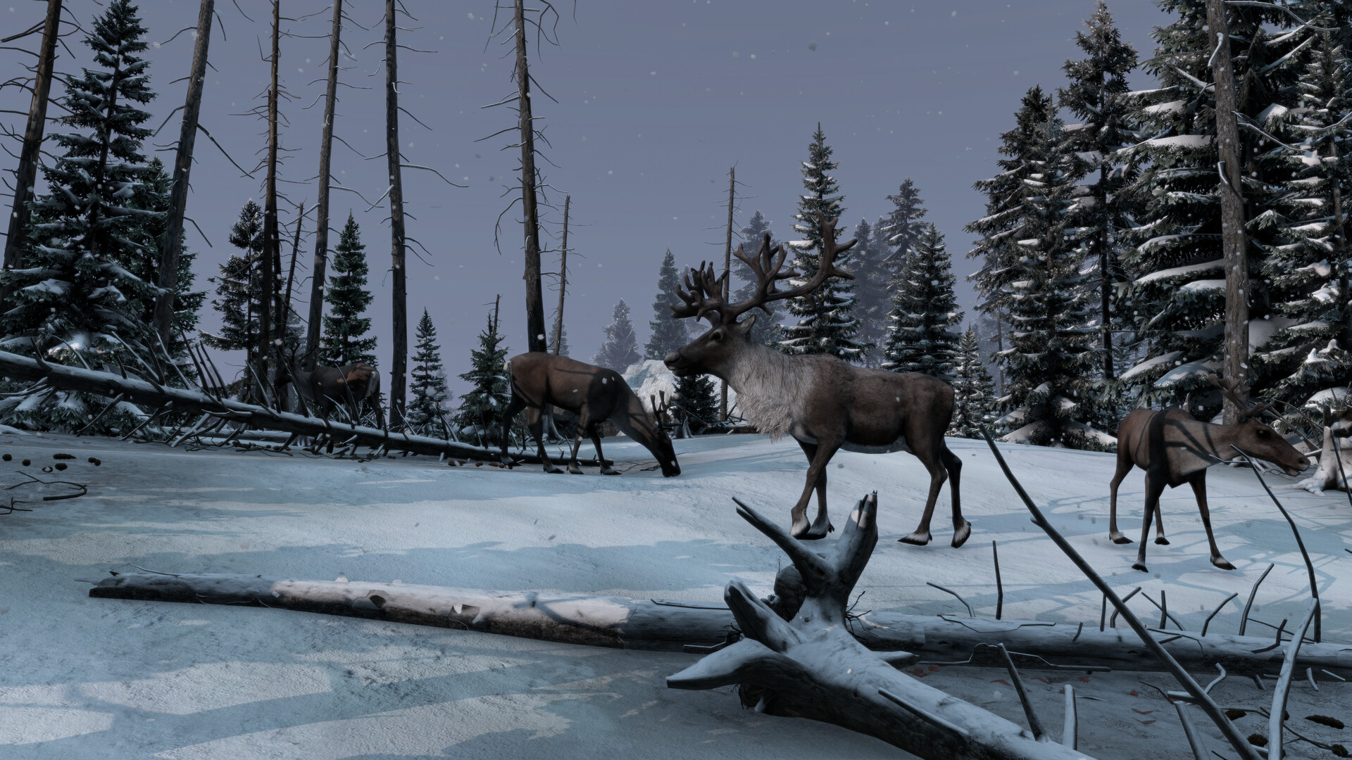 DayZ + Frostline DLC Bundle XBOX One / Xbox Series X|S Account