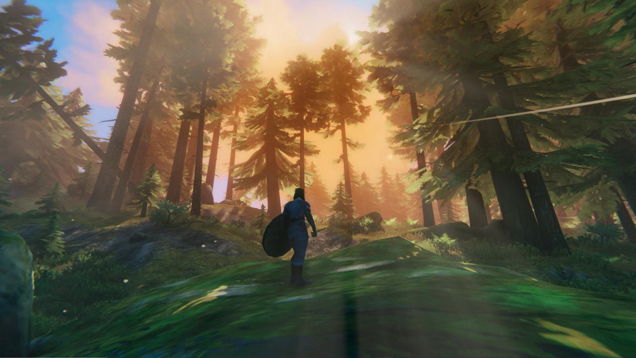 Valheim XBOX One / Xbox Series X|S / PC Account