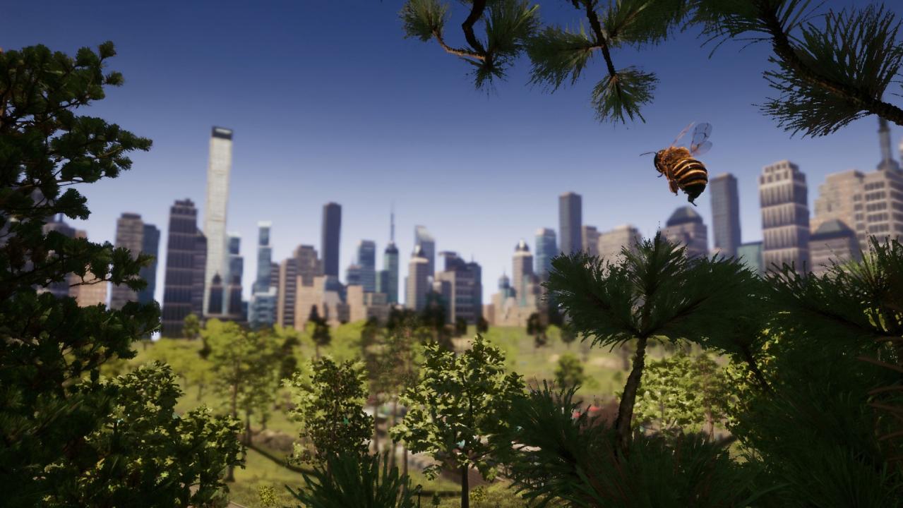 Bee Simulator PC Steam Account