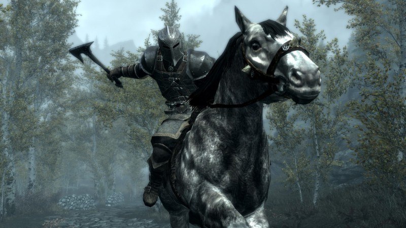 The Elder Scrolls V: Skyrim - Dawnguard + Dragonborn Bundle DLC PC Steam CD Key