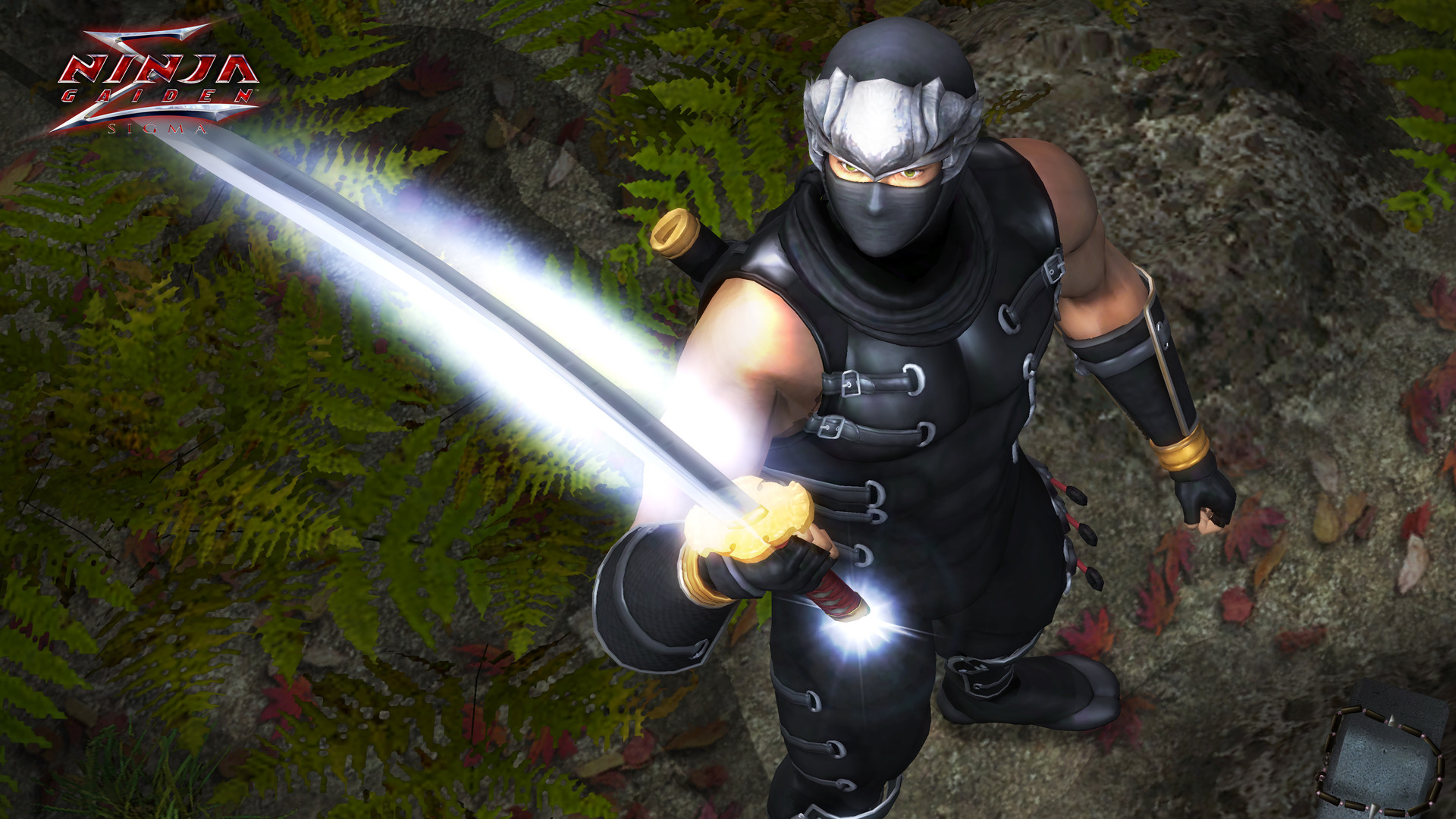 NINJA GAIDEN: Master Collection Deluxe Edition PC Steam Account