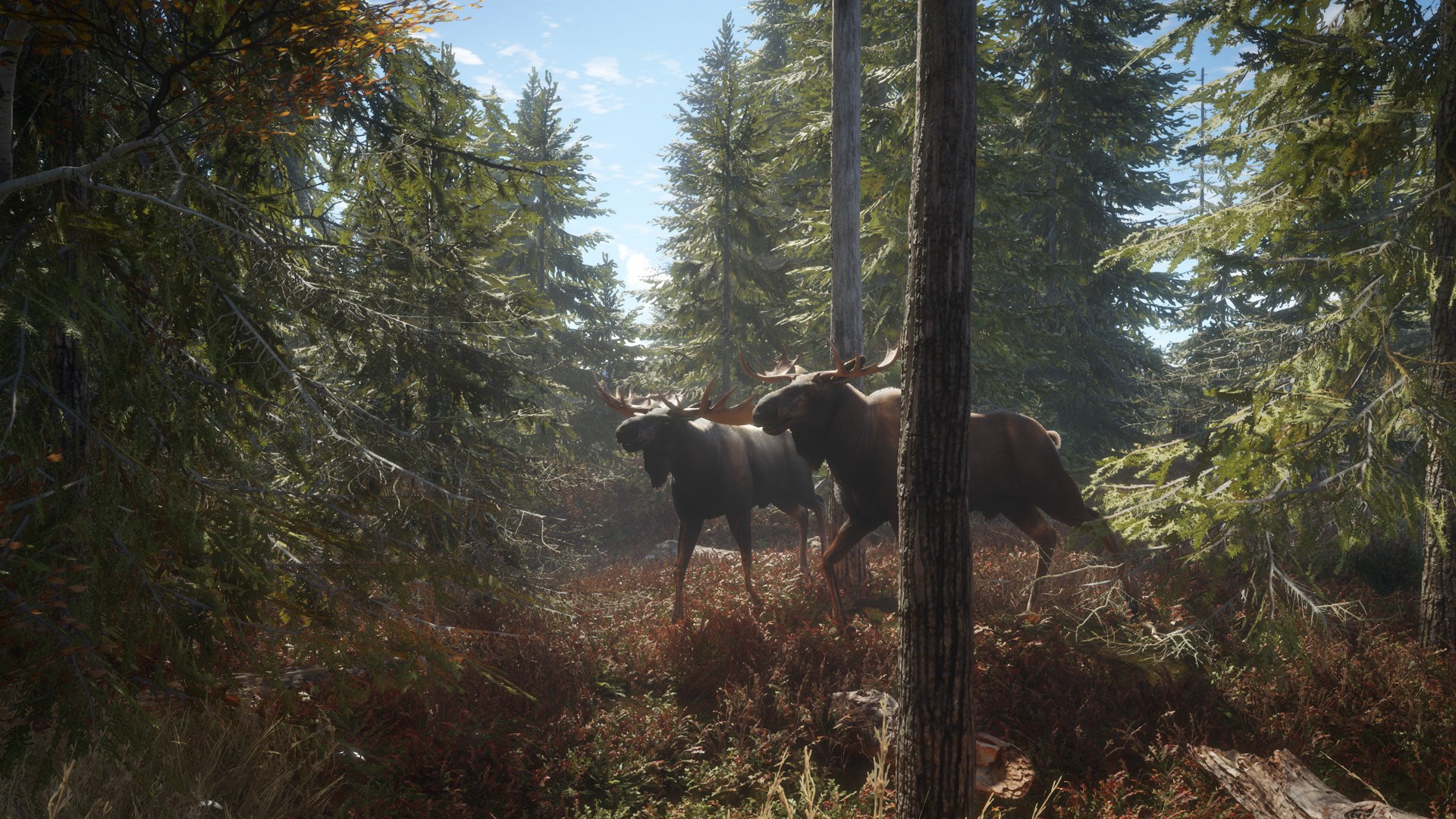 theHunter: Call of the Wild Ultimate Hunting Bundle XBOX One / Xbox Series X|S Account