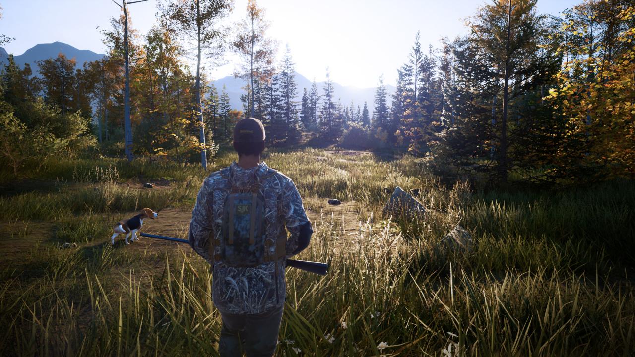Hunting Simulator 2 PS5 Account