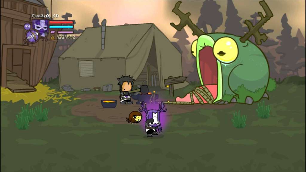 Castle Crashers COMPLETE Bundle PC Steam Account
