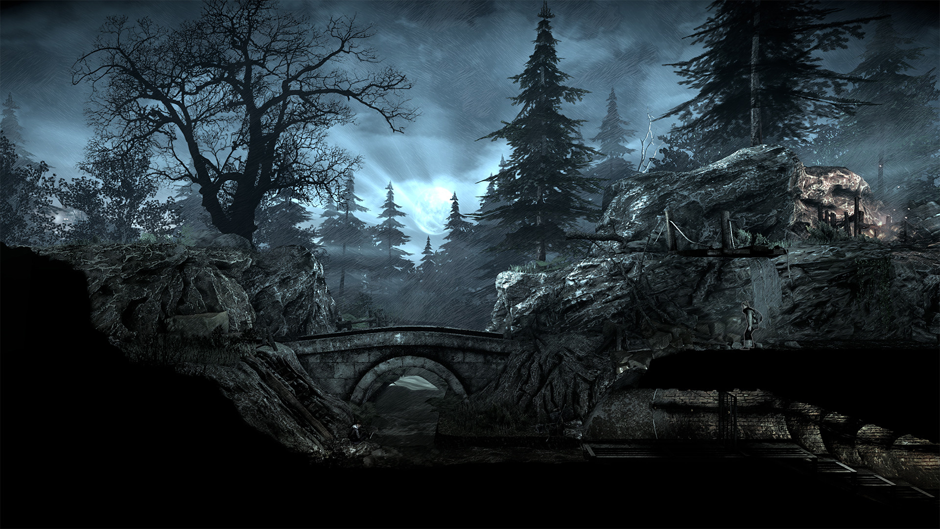 This War of Mine: Final Cut PS5 Account