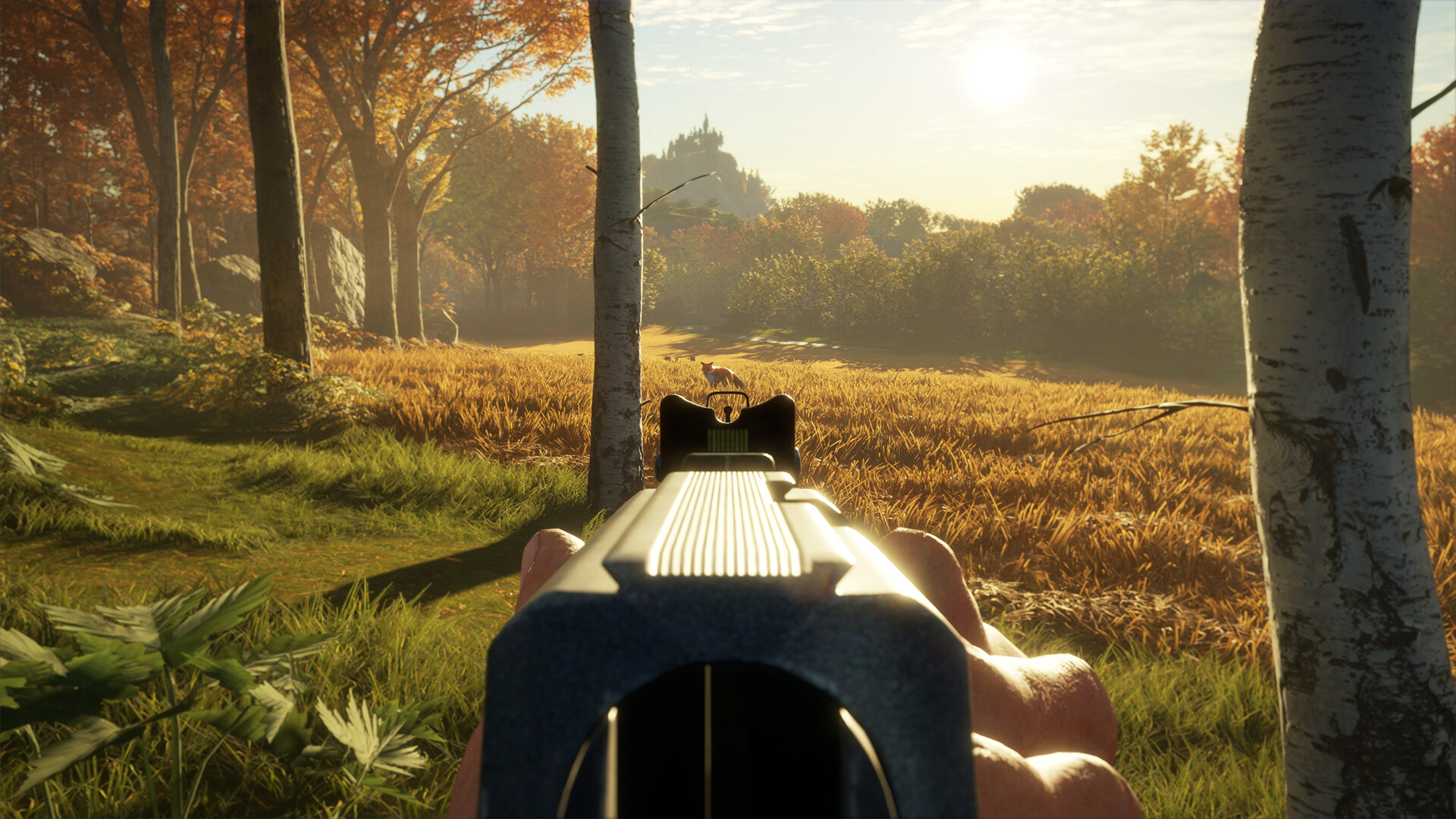 theHunter: Call of the Wild - Pump, Flip and Fire Pack DLC PC Steam CD Key