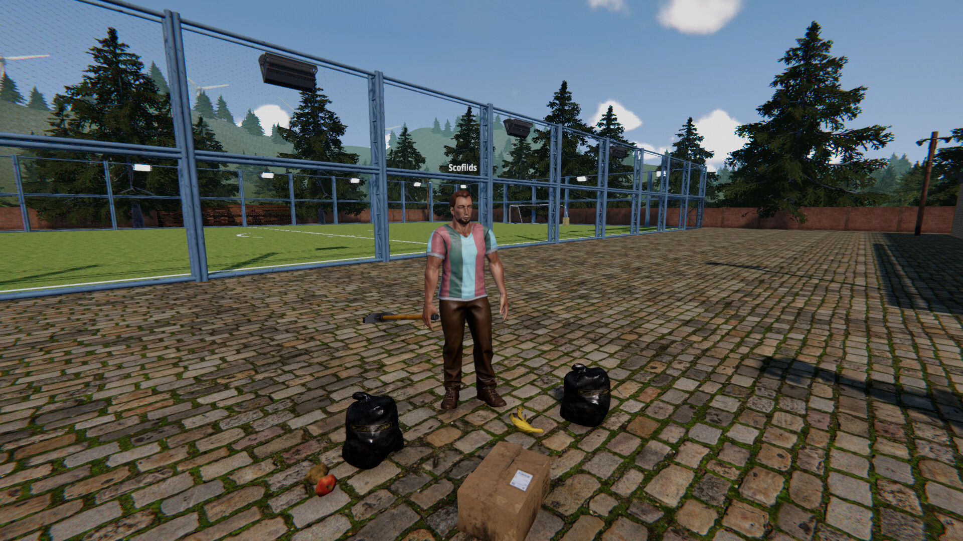 Football Pitch Simulator PC Steam Account