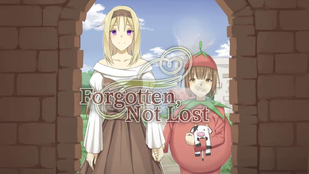 Forgotten, Not Lost PC Steam CD Key