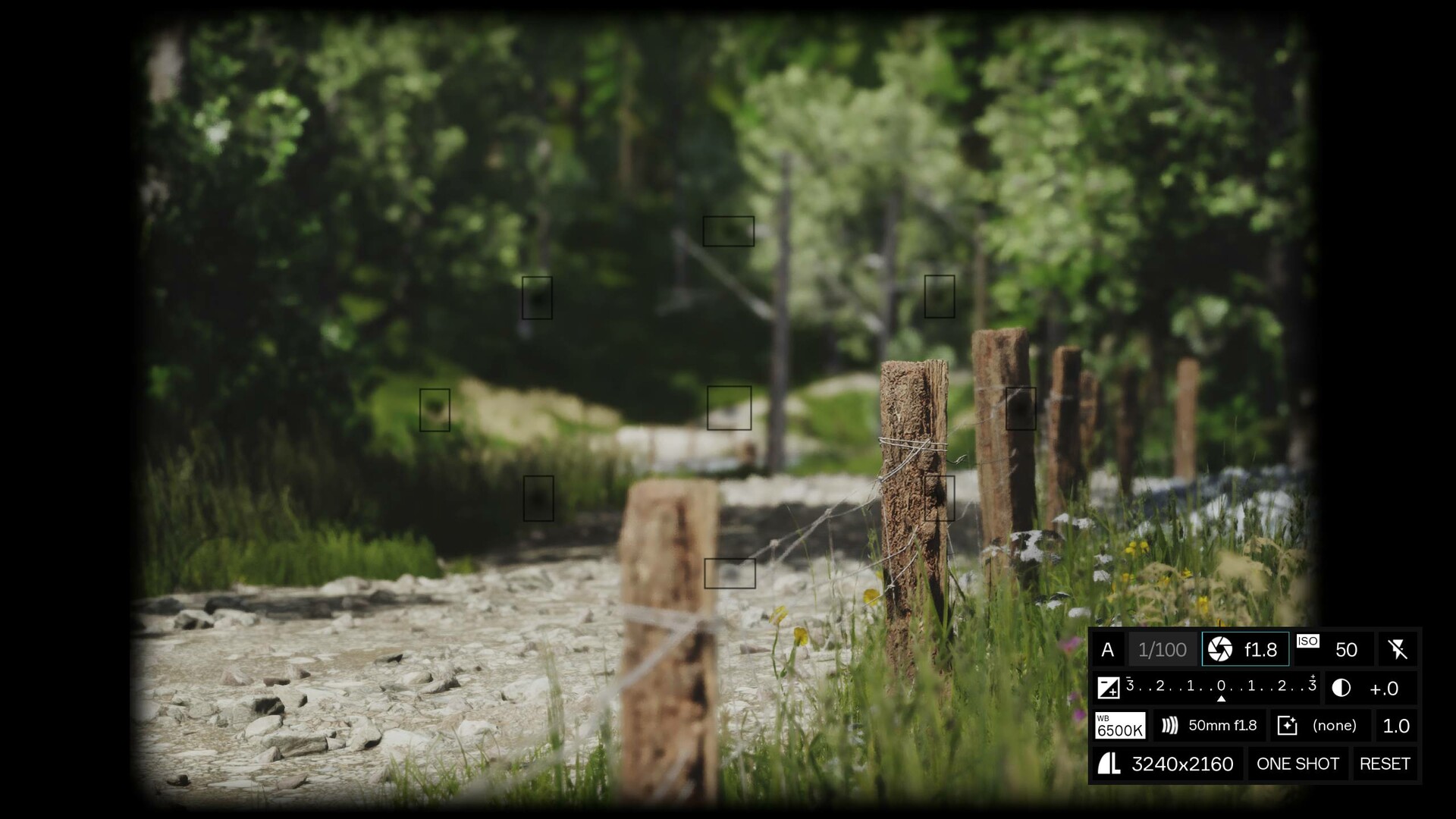Lushfoil Photography Sim PC Steam Account