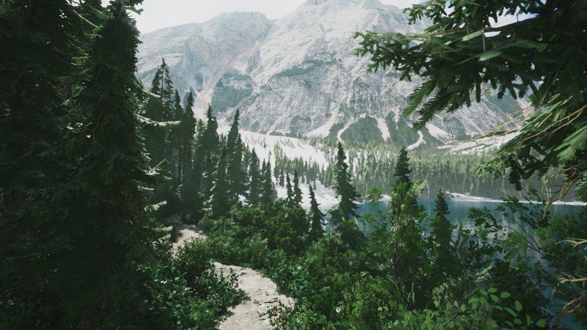 Lushfoil Photography Sim PC Epic Games Account