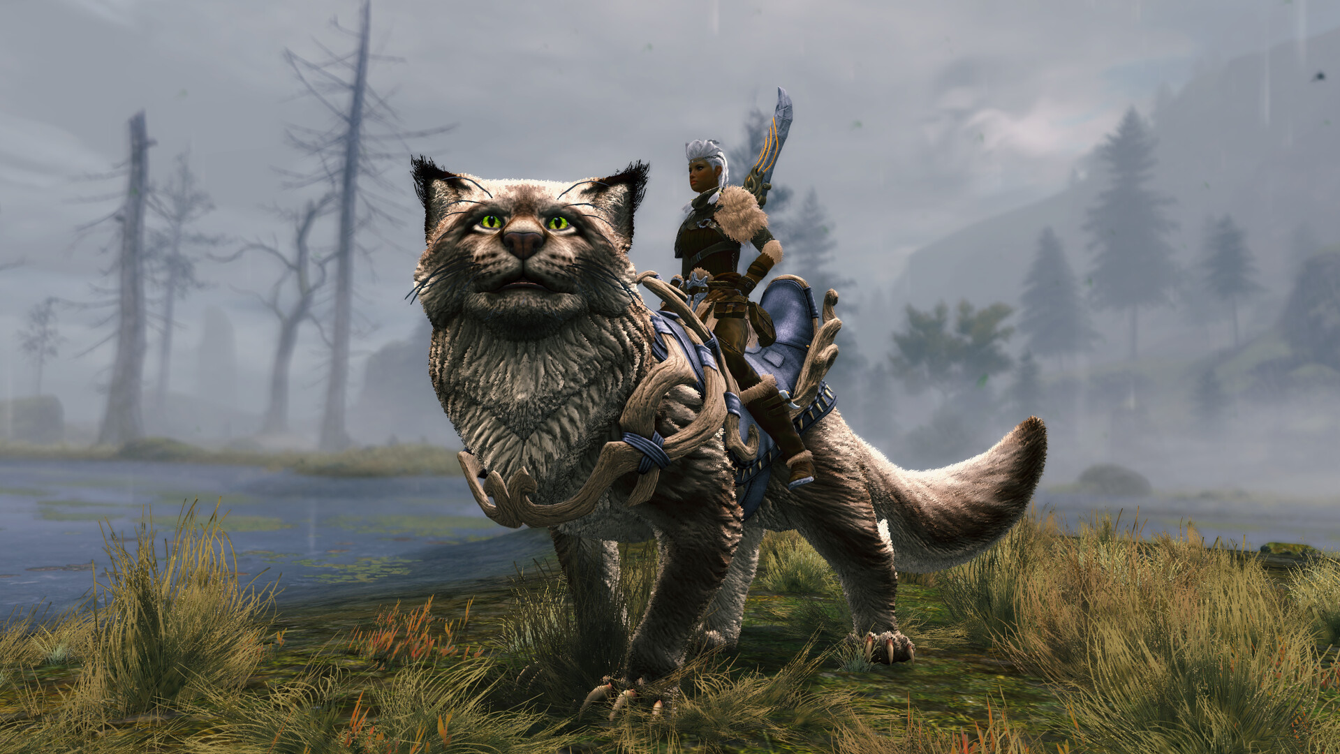 Guild Wars 2: Janthir Wilds DLC PC Steam CD Key