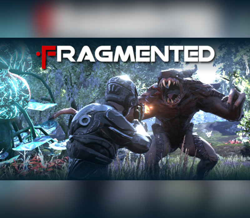 Fragmented PC Steam Account