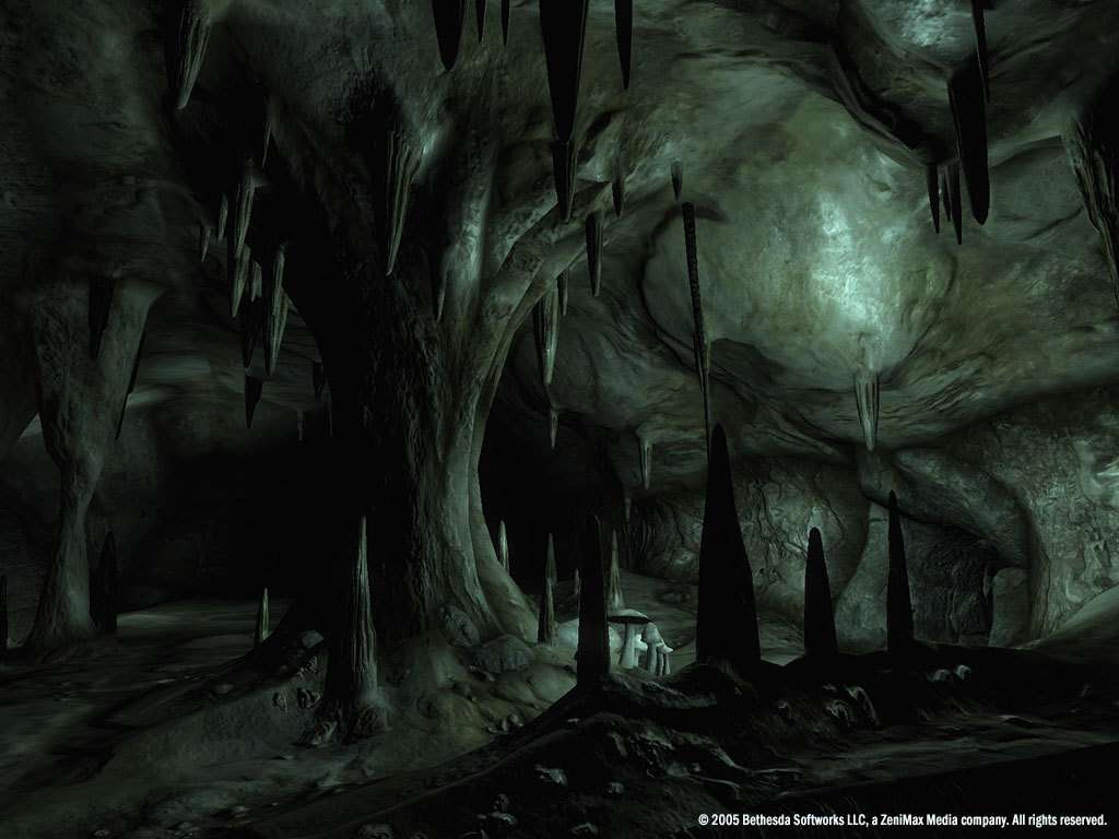 The Elder Scrolls IV: Oblivion GOTY Edition PC Steam Account