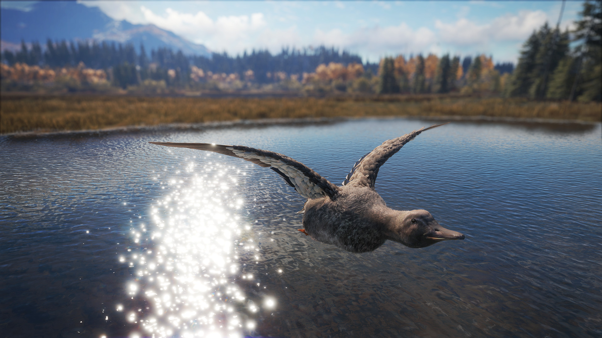 theHunter: Call of the Wild - Duck and Cover Pack DLC PC Steam CD Key (valid until March, 2027)