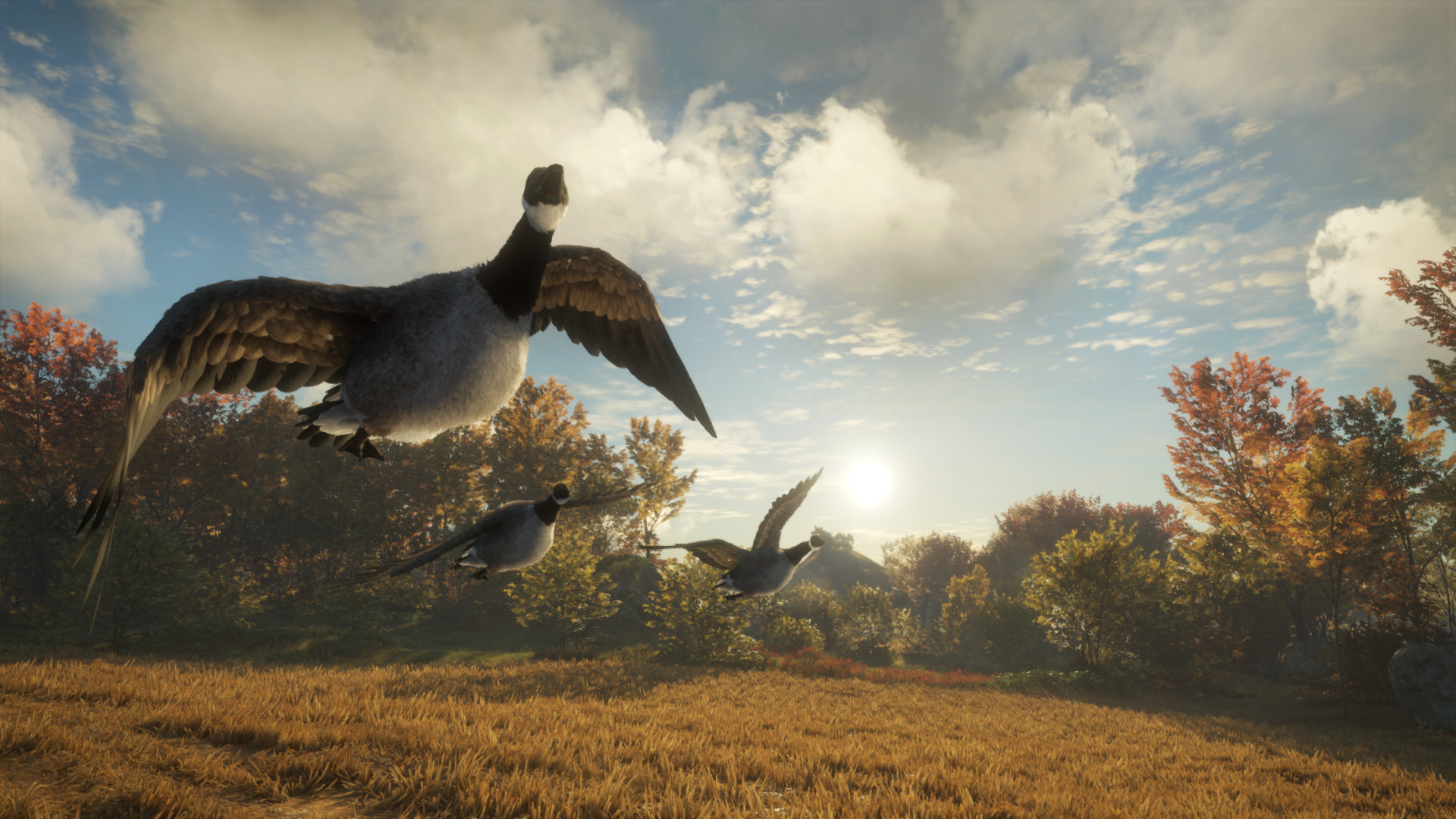theHunter: Call of the Wild - Wild Goose Chase Gear DLC PC Steam CD Key (valid until March, 2027)