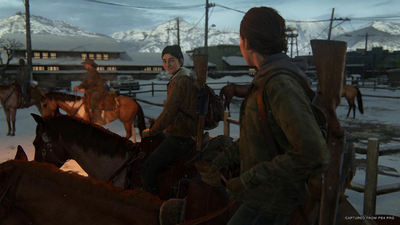 The Last Of Us Part 2 PS4 Access