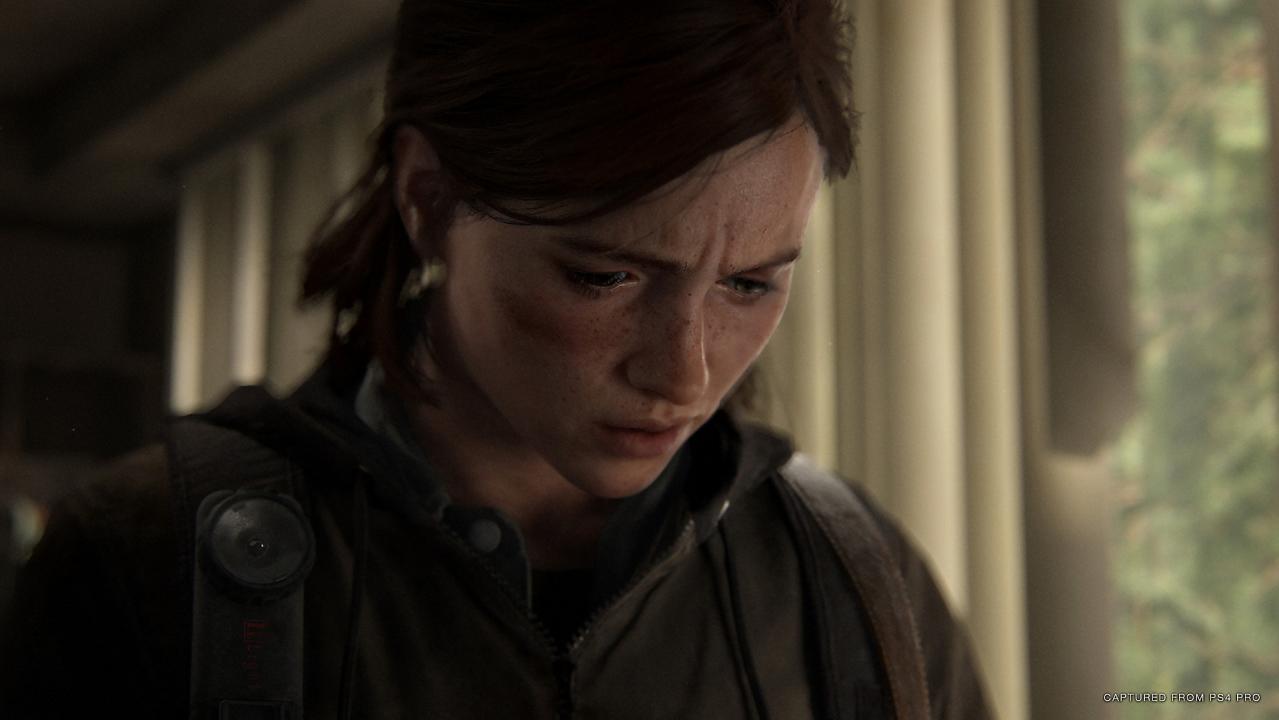 The Last Of Us Part 2 PS4 Access