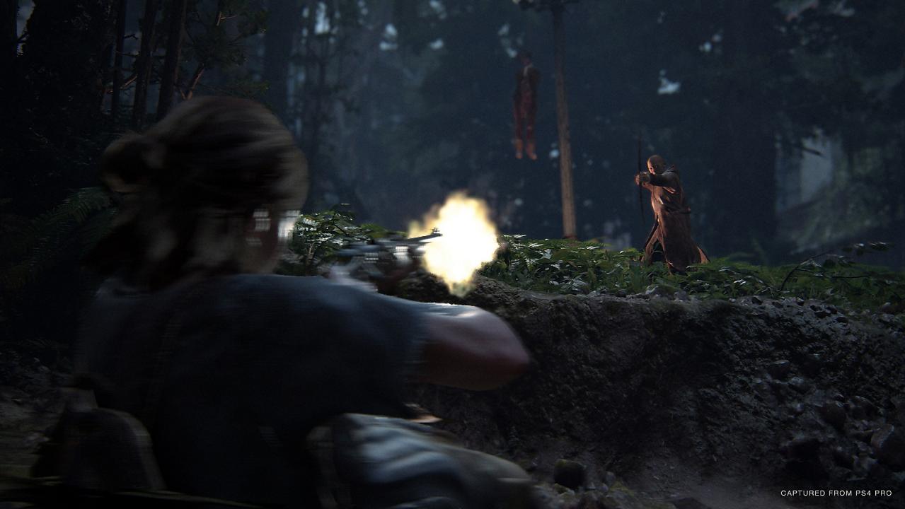 The Last Of Us Part 2 PS4 Access