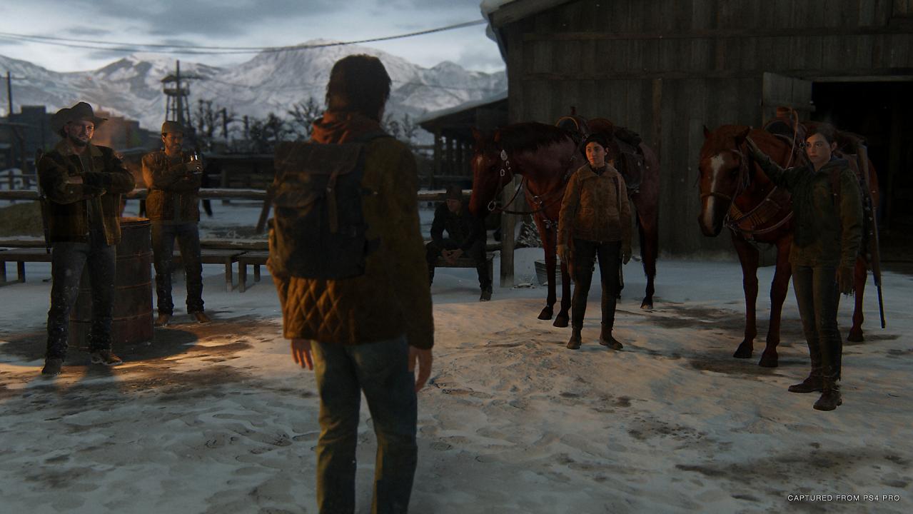 The Last Of Us Part 2 PS4 Access