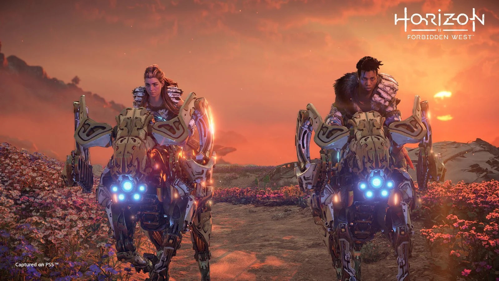 Horizon Forbidden West PS4/PS5 Access