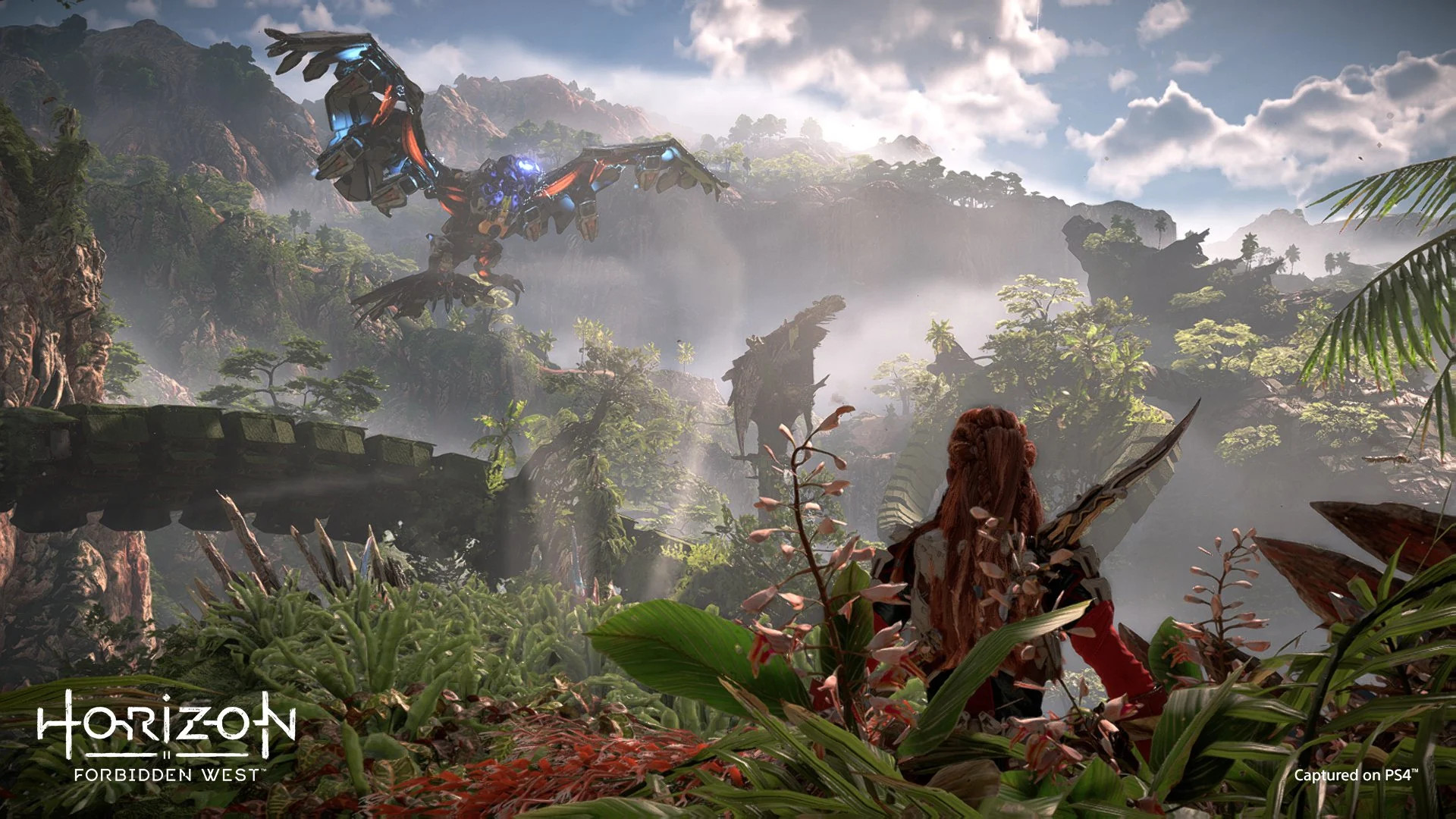 Horizon Forbidden West PS4/PS5 Access