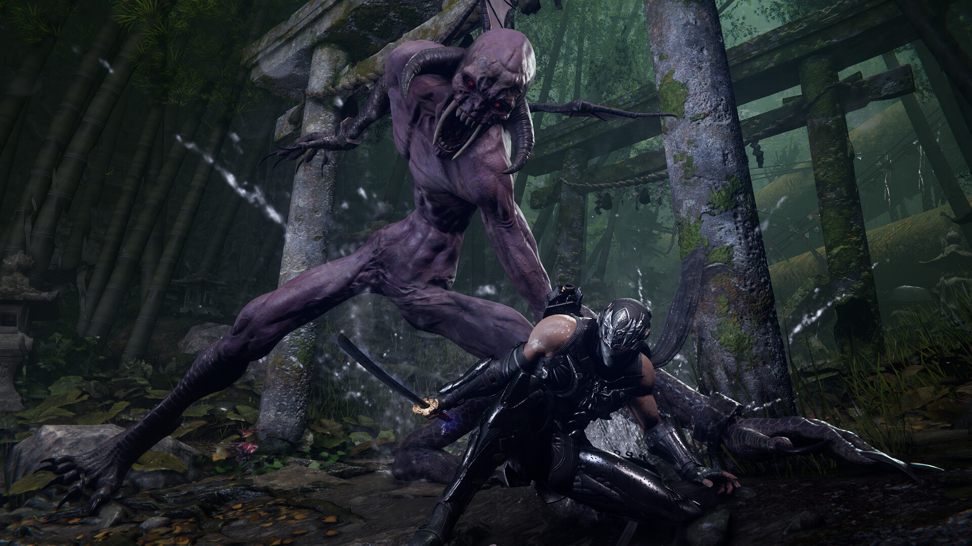 NINJA GAIDEN 4 Xbox Series X|S / PC CD Key
