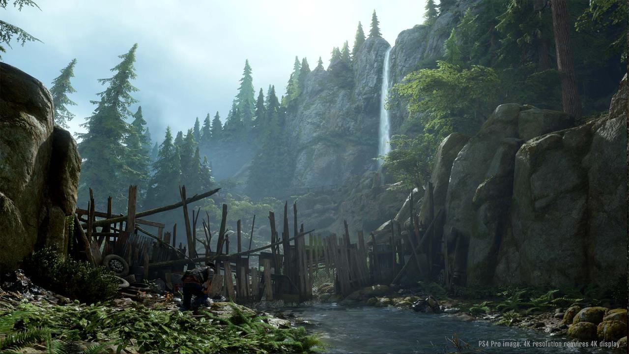 Days Gone PS4/PS5 Access