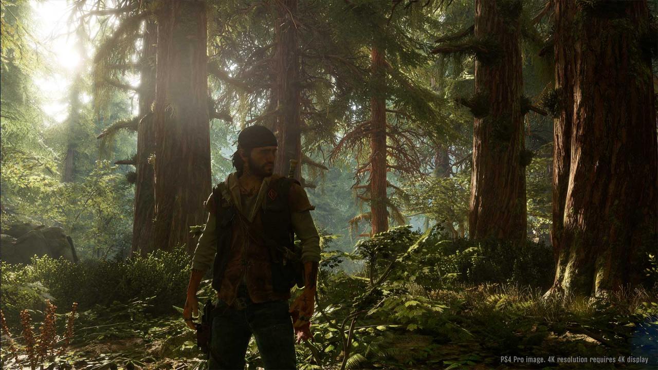 Days Gone PS4/PS5 Access