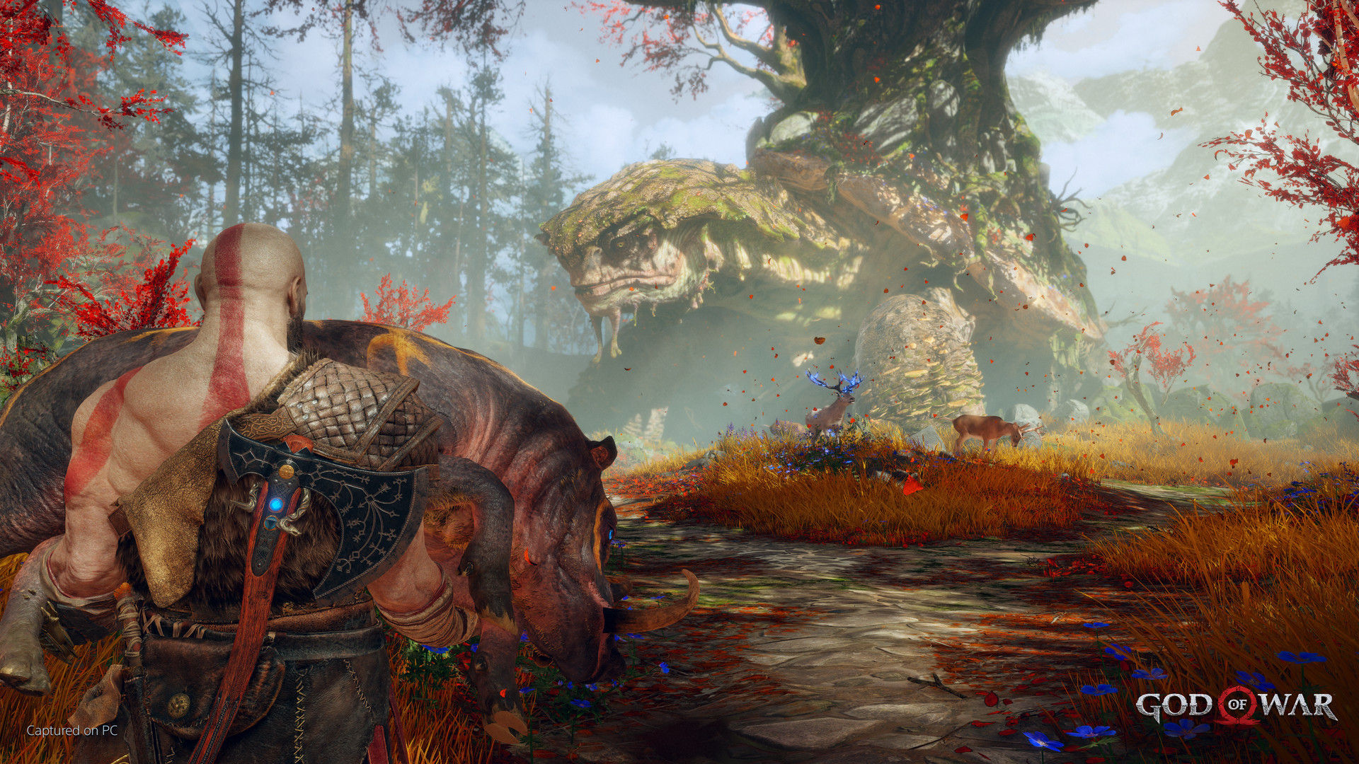 God of War PS4/PS5 Access