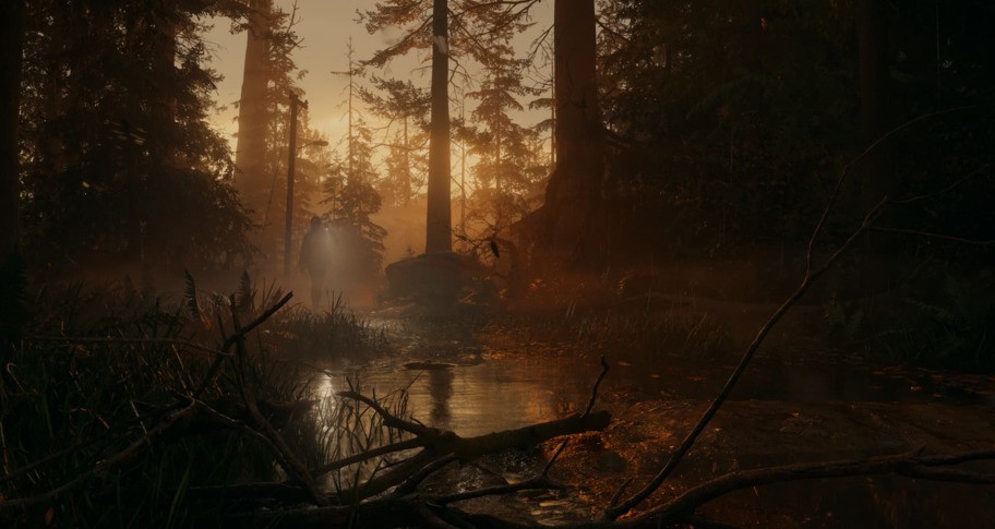 Alan Wake 2 PS5 Access