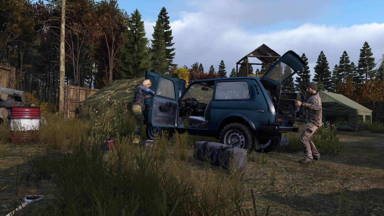 DayZ PS4/PS5 Access