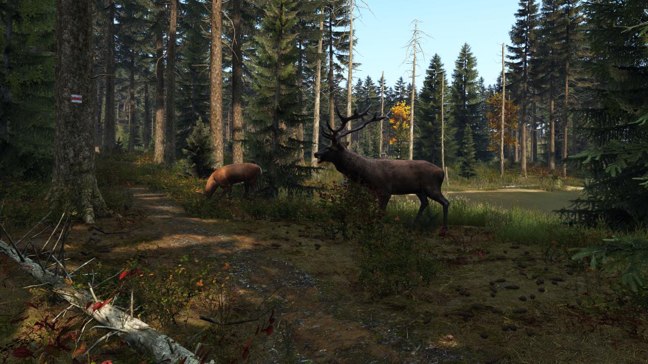 DayZ PS4/PS5 Access