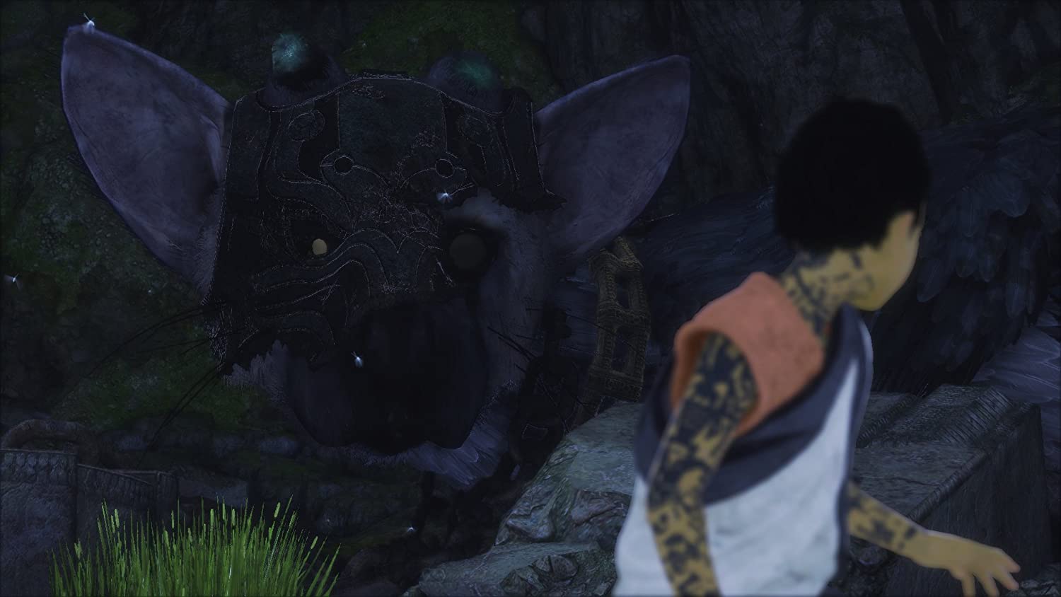 The Last Guardian PS4/PS5 Access