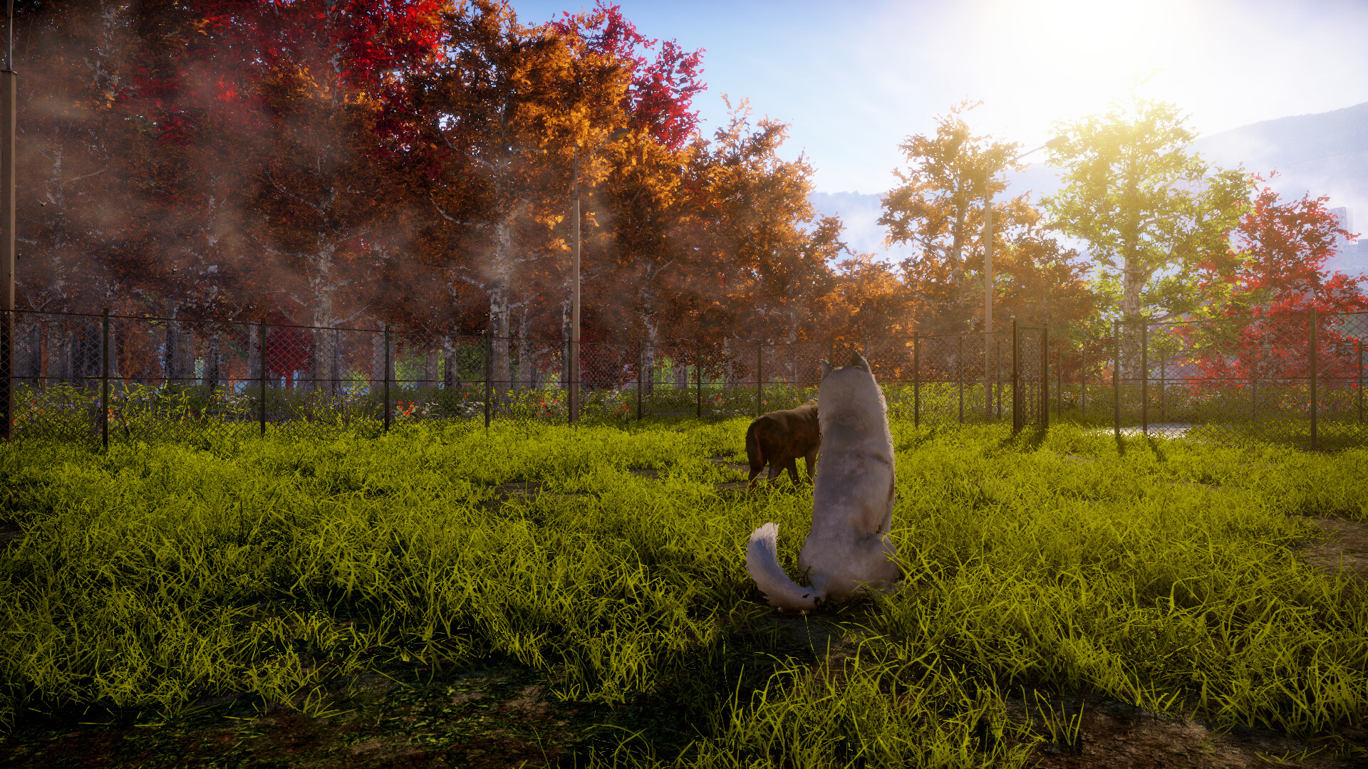 Animal Shelter 2 PC Steam Account